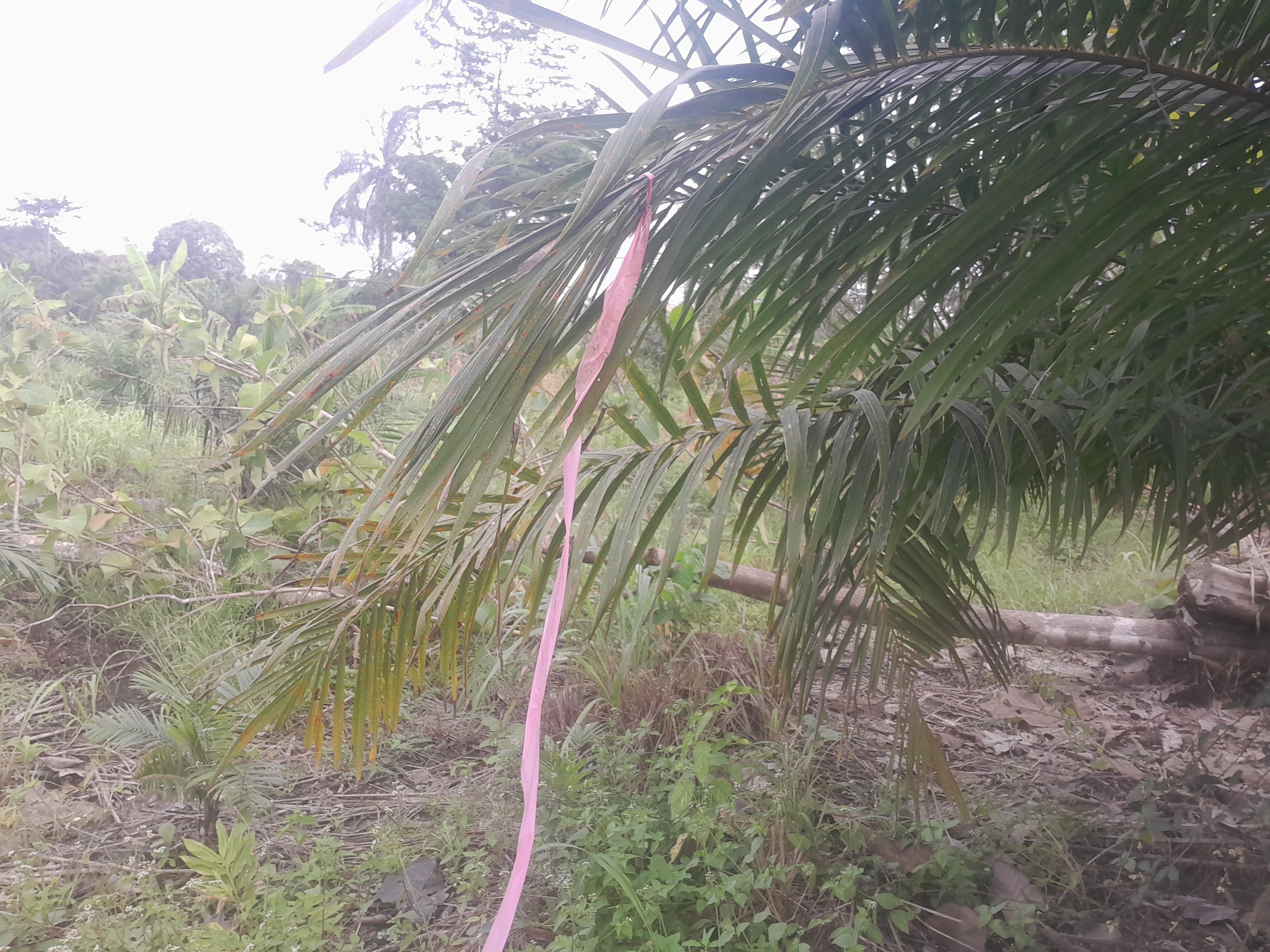 Warning sign by galamseyers